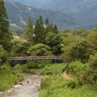 大出の吊り橋の写真・動画_image_1423698