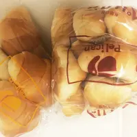 パンのペリカンの写真・動画_image_142547