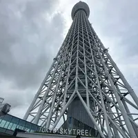 東京スカイツリーの写真・動画_image_1428340