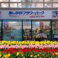 あしかがフラワーパークの写真・動画_image_1429758