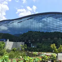 九州国立博物館の写真・動画_image_143142