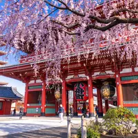 浅草寺の写真・動画_image_1433367