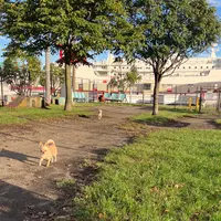 苫小牧フェリーターミナルの写真・動画_image_1437719