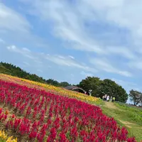 那須フラワーワールドの写真・動画_image_1437810