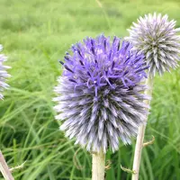 長者原の写真・動画_image_143868