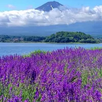 八木崎公園の写真・動画_image_143963