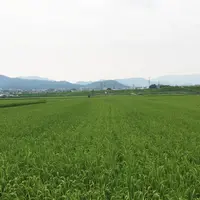 トロッコ亀岡駅観光案内所の写真・動画_image_144252