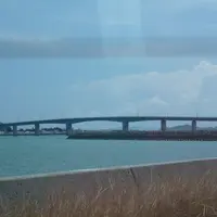 浜比嘉島の写真・動画_image_144342