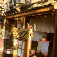 川京の写真・動画_image_144347