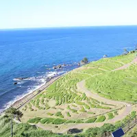 道の駅 千枚田ポケットパークの写真・動画_image_144364
