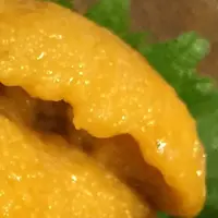一八寿しの写真・動画_image_144520