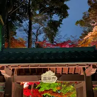 屋台のまち中央公園の写真・動画_image_1446123