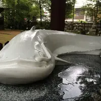 豊玉姫神社の写真・動画_image_144688