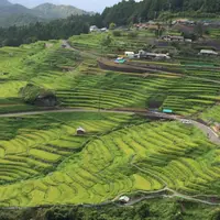 丸山千枚田の写真・動画_image_144795