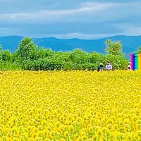 あわら夢ぐるま公園の写真・動画_image_1448355