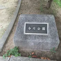 今川緑道の写真・動画_image_144870