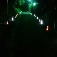 神奈川県伊勢原市大山豆腐坂の写真・動画_image_144887