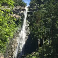 那智の滝の写真・動画_image_145054