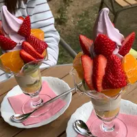 パーラー果物小町の写真・動画_image_1456239