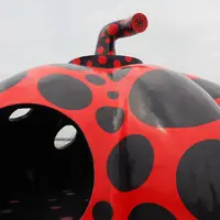 赤かぼちゃの写真・動画_image_145951
