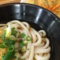 讃岐うどん 上原屋本店の写真・動画_image_145979