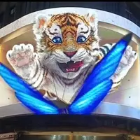 士林萌虎の写真・動画_image_1467575