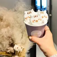 HATCOFFEE STANDの写真・動画_image_1468919