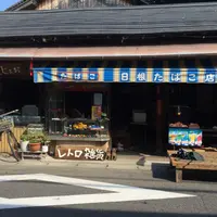 田尻歴史館 愛らんどハウスの写真・動画_image_146903