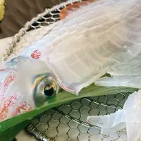 渚館きむら 唐津茶屋の写真・動画_image_1469582