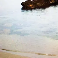 竹野海岸の写真・動画_image_147391