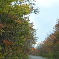 蔵王エコーラインの写真・動画_image_1474267