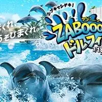南知多ビーチランドの写真・動画_image_147459