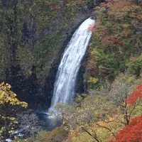 不動滝展望台の写真・動画_image_1474663