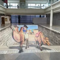 鳥取空港（鳥取砂丘コナン空港）の写真・動画_image_1475823