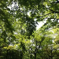 千葉ニュータウン中央駅の写真・動画_image_147741