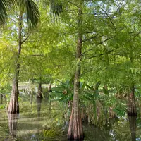 豊之谷自然生態公園の写真・動画_image_1479543