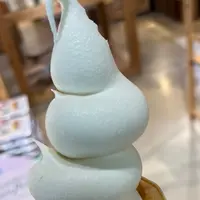 国見SA (下り)の写真・動画_image_1483960