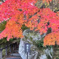 雄島の写真・動画_image_1490641