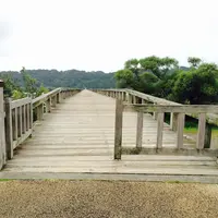 蓬莱橋の写真・動画_image_149380