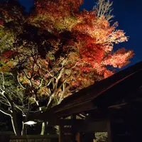 天山湯治郷の写真・動画_image_1494484
