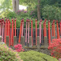 根津神社の写真・動画_image_1496527