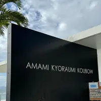 奄美きょら海工房の写真・動画_image_1502238