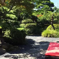 うどん本陣 山田家 讃岐本店の写真・動画_image_150319