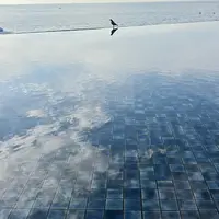 ホテルシーモアの写真・動画_image_1503504