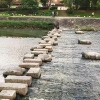 荒神橋近くの飛石の写真・動画_image_150444