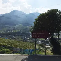 甲州市勝沼ぶどうの丘の写真・動画_image_150664