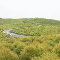 国営ひたち海浜公園の写真・動画_image_151126