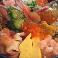 魚啓の写真・動画_image_151181