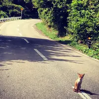 男鹿半島の写真・動画_image_151339