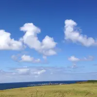 入道崎の写真・動画_image_151340
